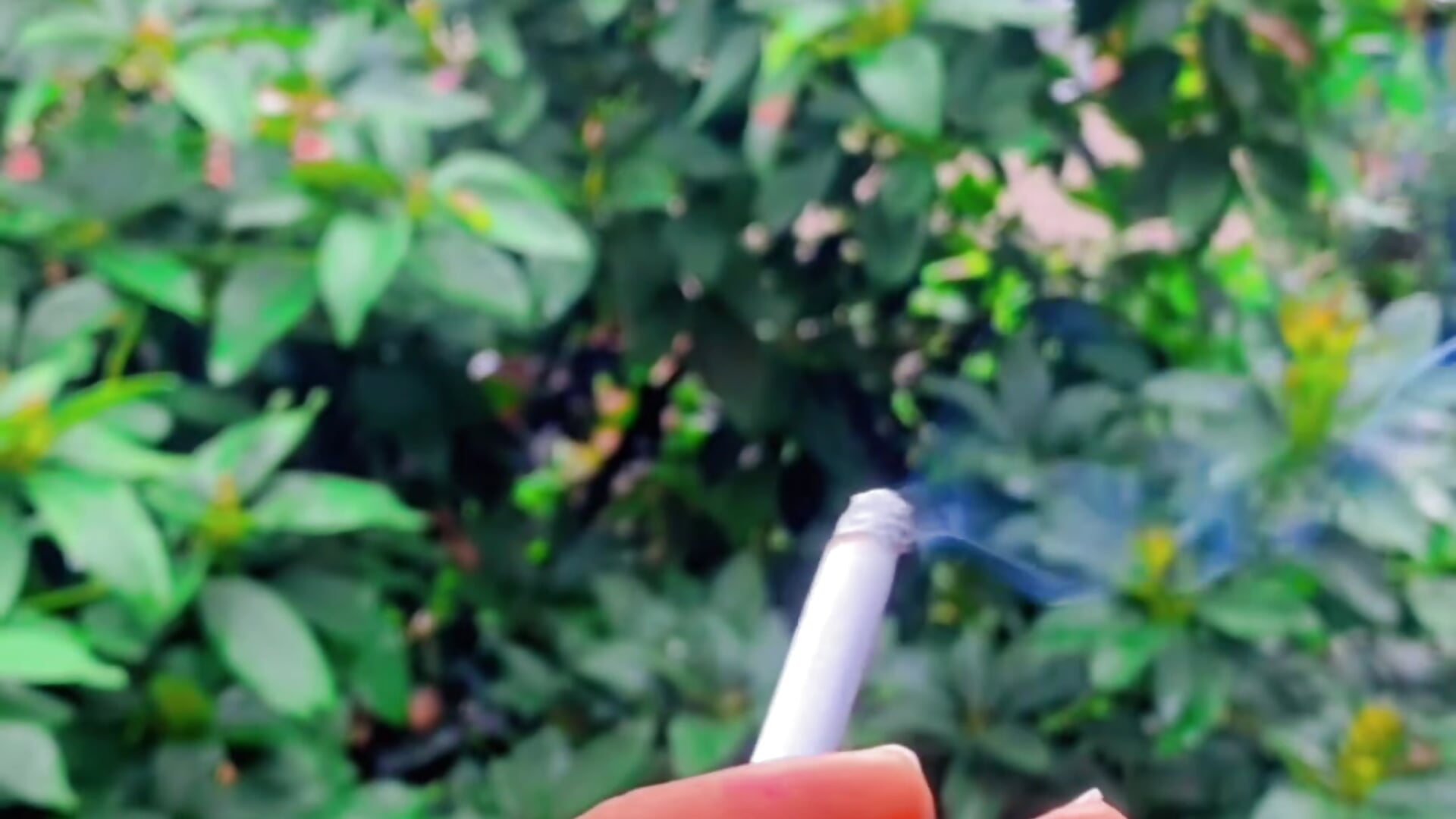 PullingBarbican - Video Tren Model Kamera 1403