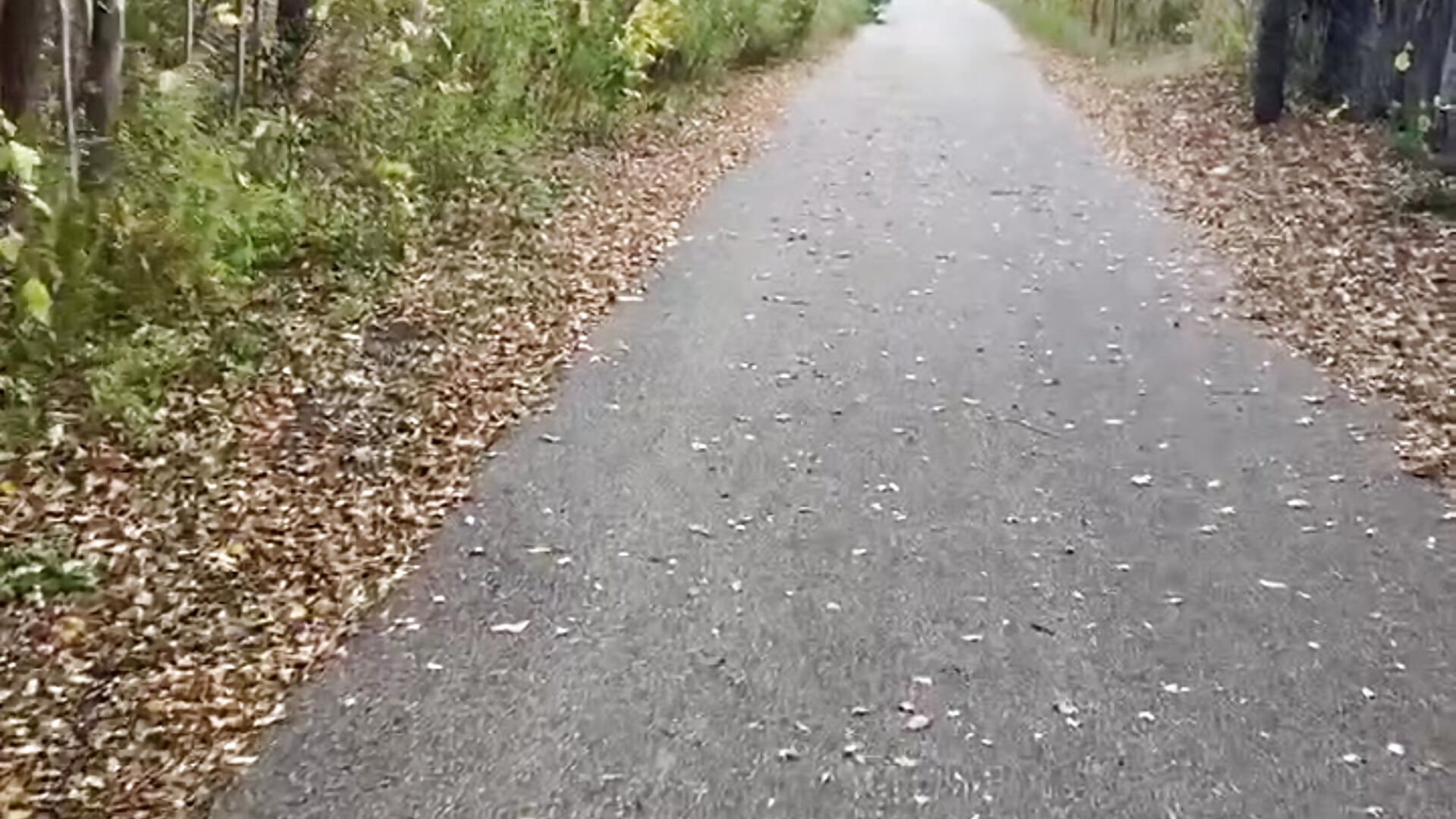 Трендове відео  9305 вебкаммоделі jakeblaze26