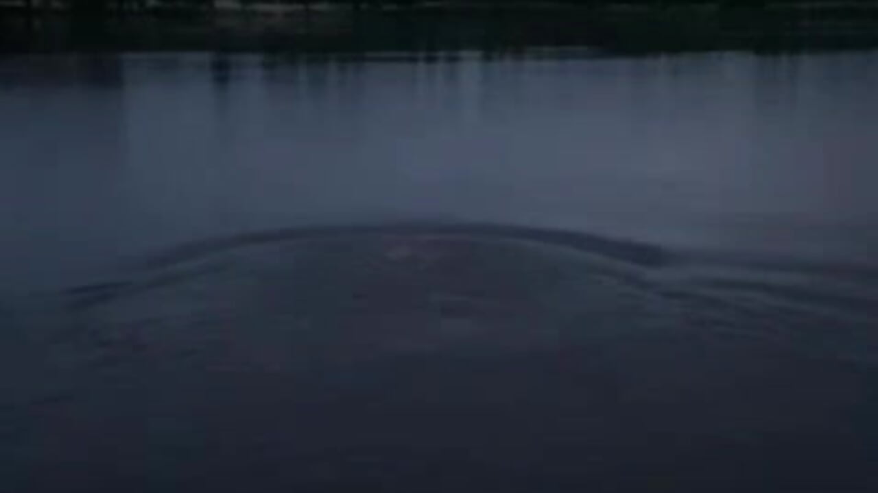bathed in moonlight - clip cu nikki_kiss_ model videochat