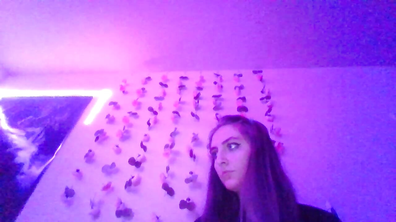 looking around - video van prettykitttty cam-model