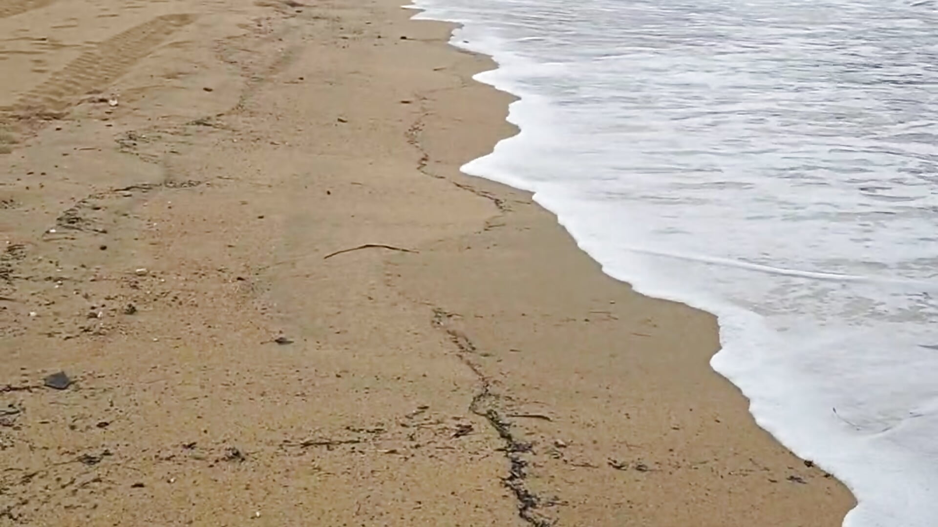 Sea view - video by RiskLookout cam model