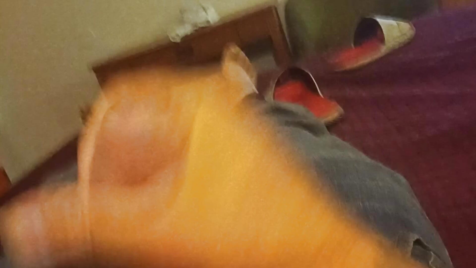 309 - video by Travis212121 cam model
