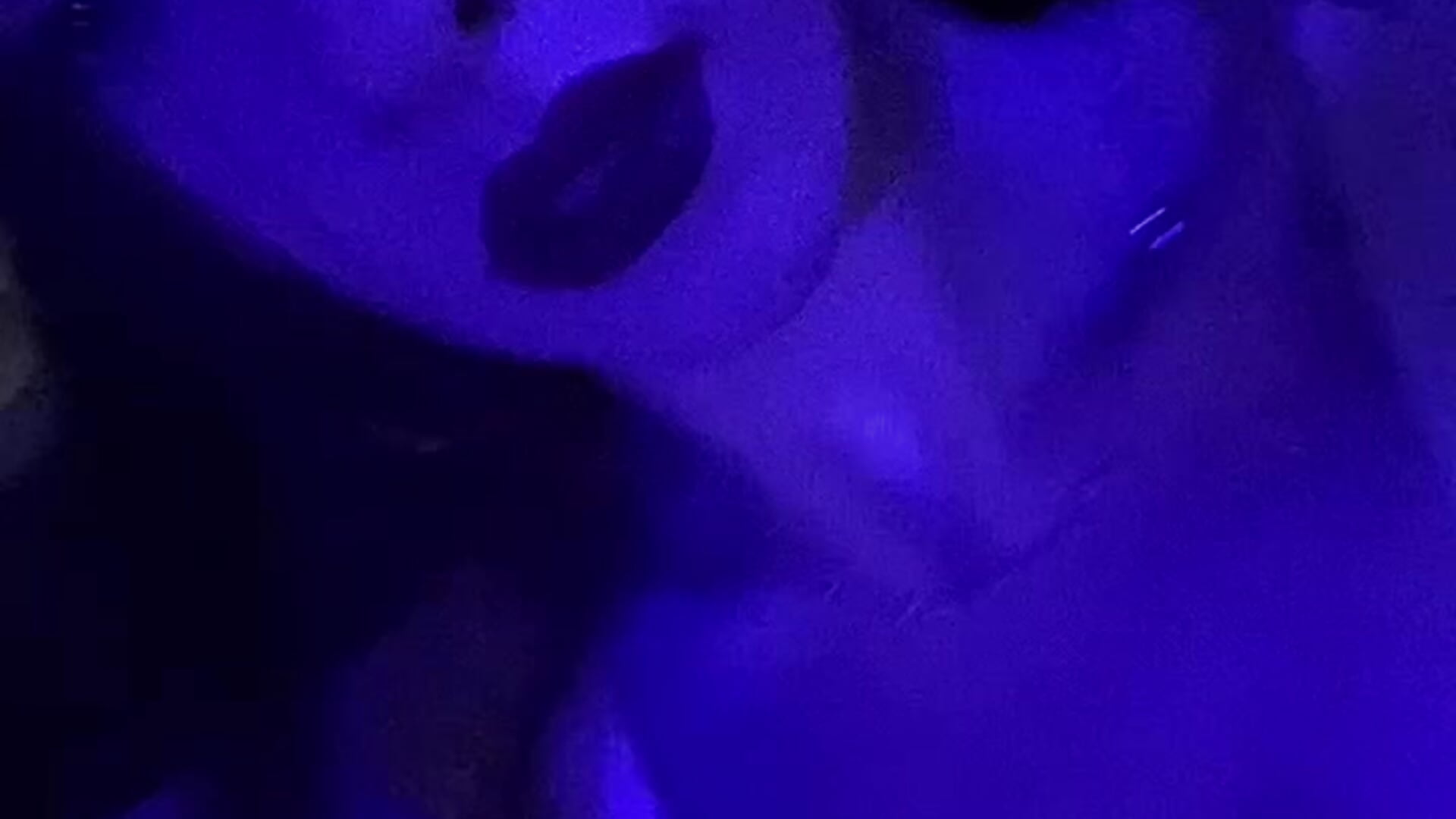 Playtime - video by selianderol cam model