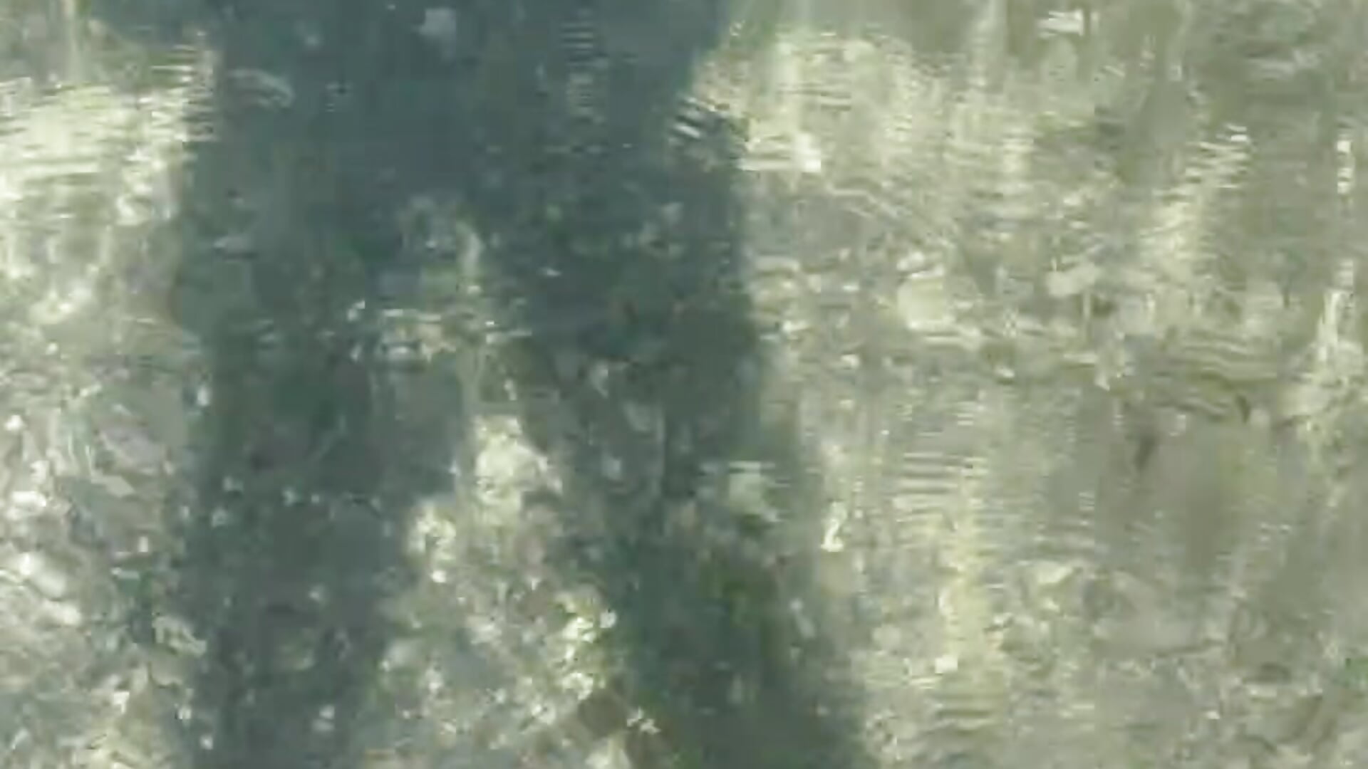 Walking in the water Foot Clip