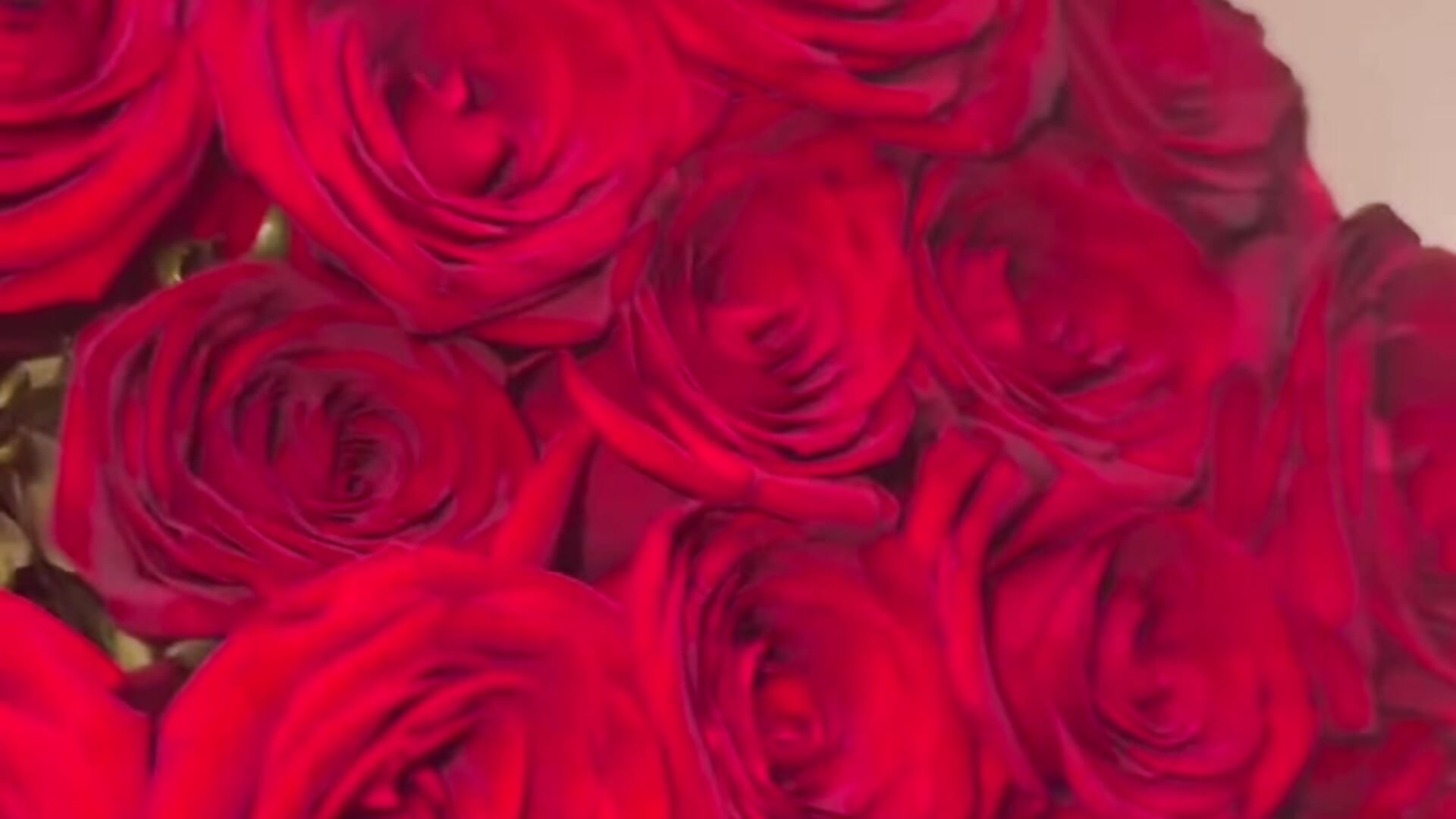 Angel love🌹 - סרטון של Elle_goldman, דוגמן/ית מצלמה