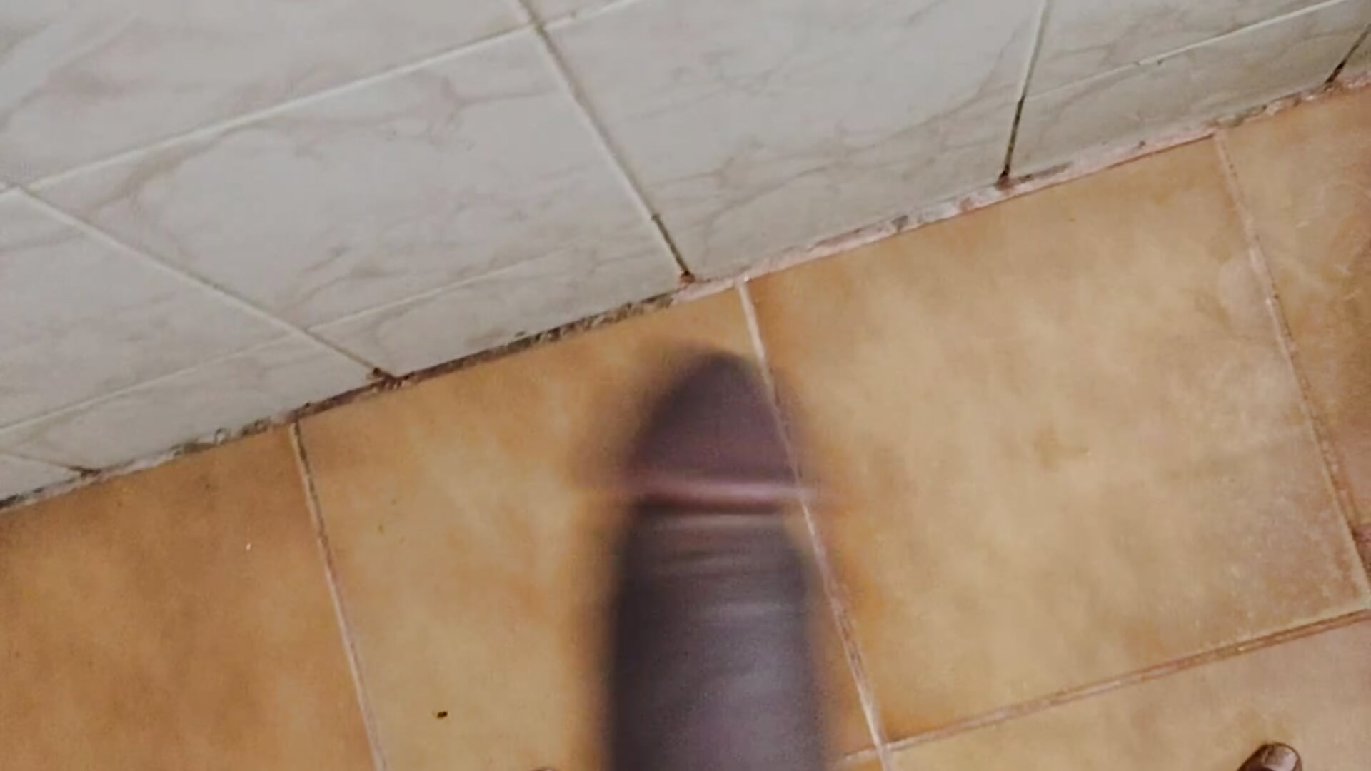 Hi - video di Sa09Bbir modella di cam