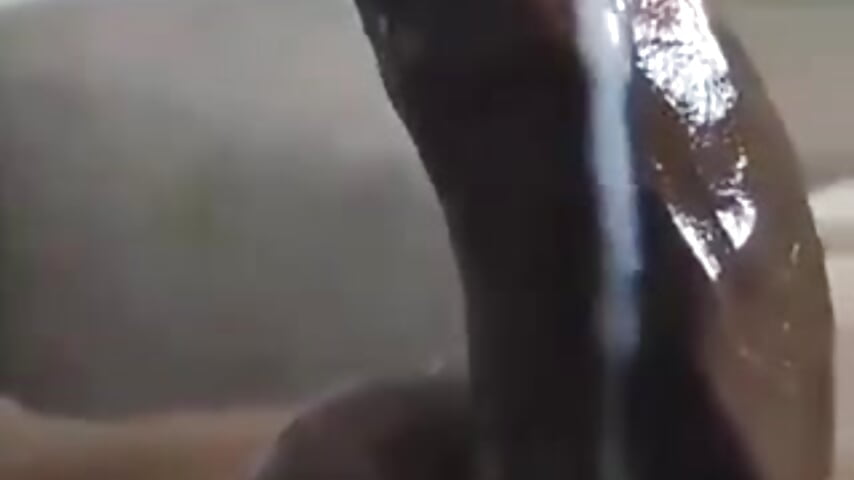 Cum - video by Malakaiboy cam model
