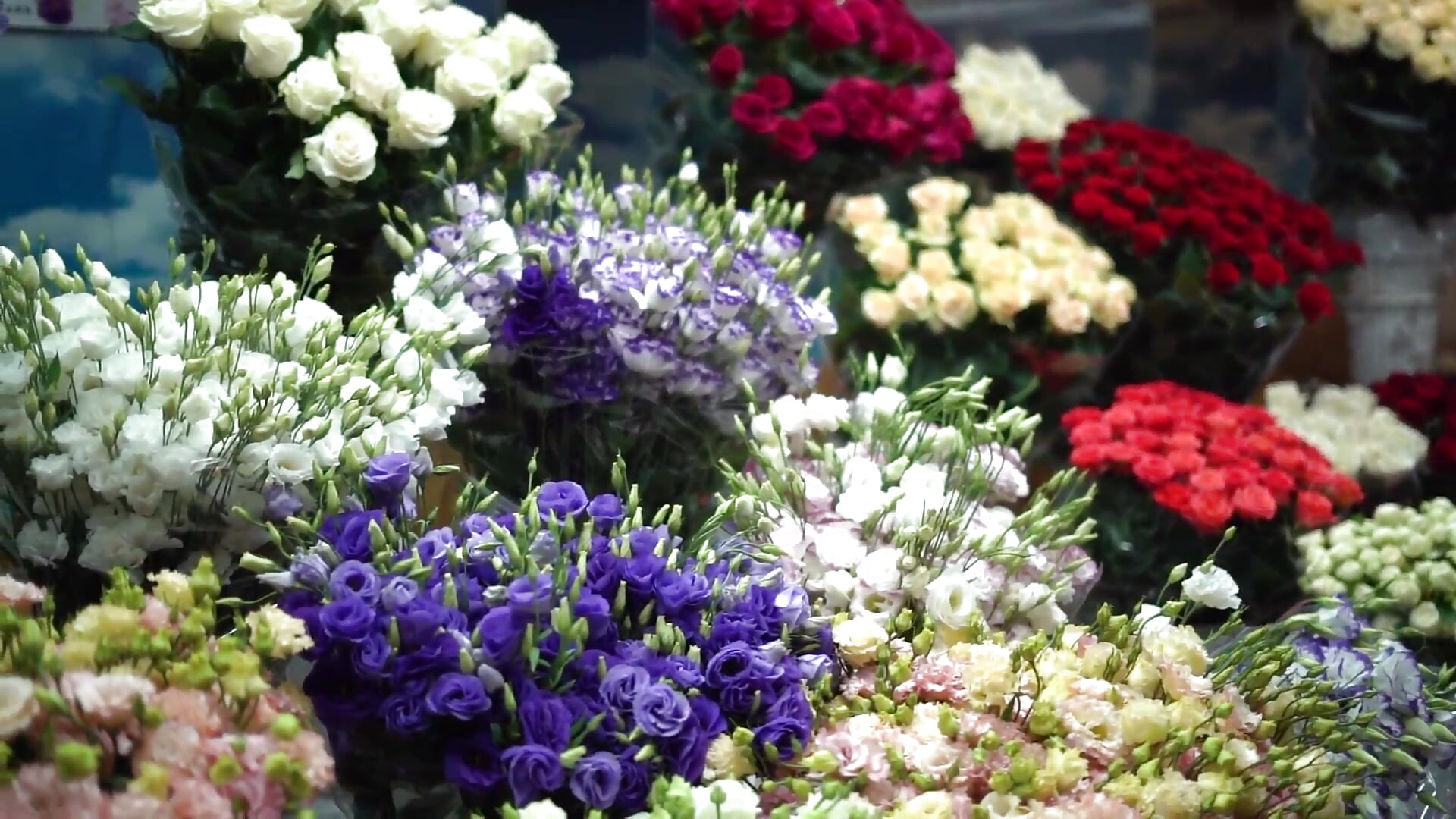 You can never have too many flowers – video od webkamerové modelky AmyPark_