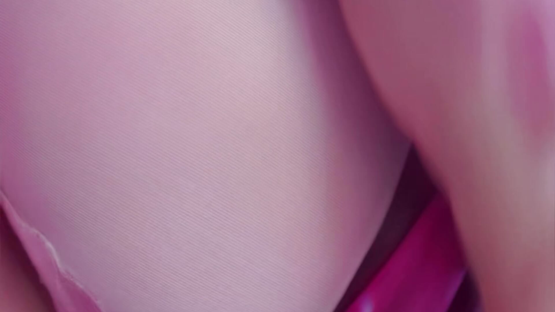 44219