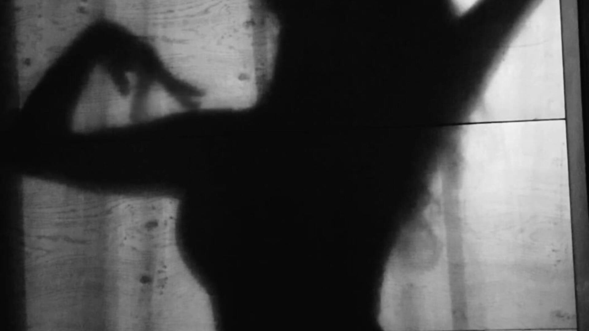 IMG_3596 - clip cu LIA_MR_X model videochat