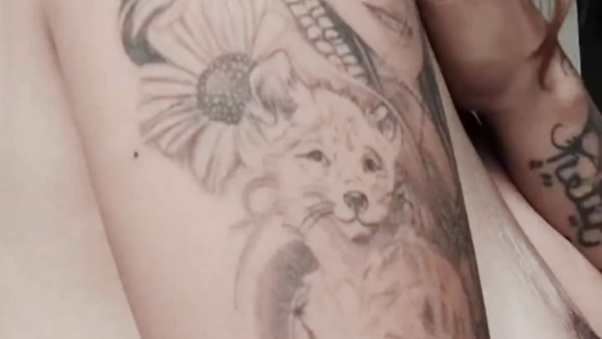 🇨🇴 tattoo 🔥 – video modela na kameri Fuckevita