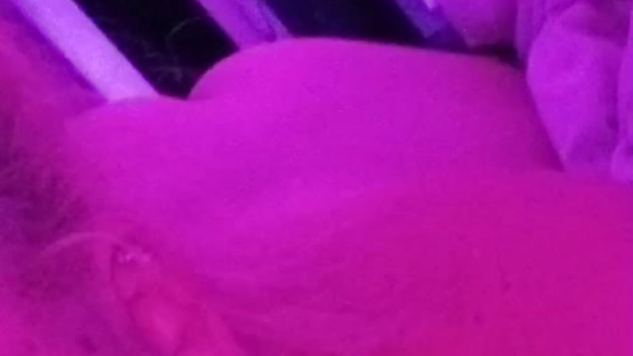 WhatsApp Video 2026-04-20 at 21,24,37 (2)