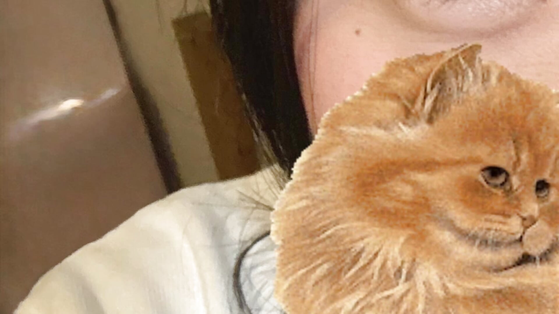 nice to meet u♡ - video by mayu_chan_ cam model