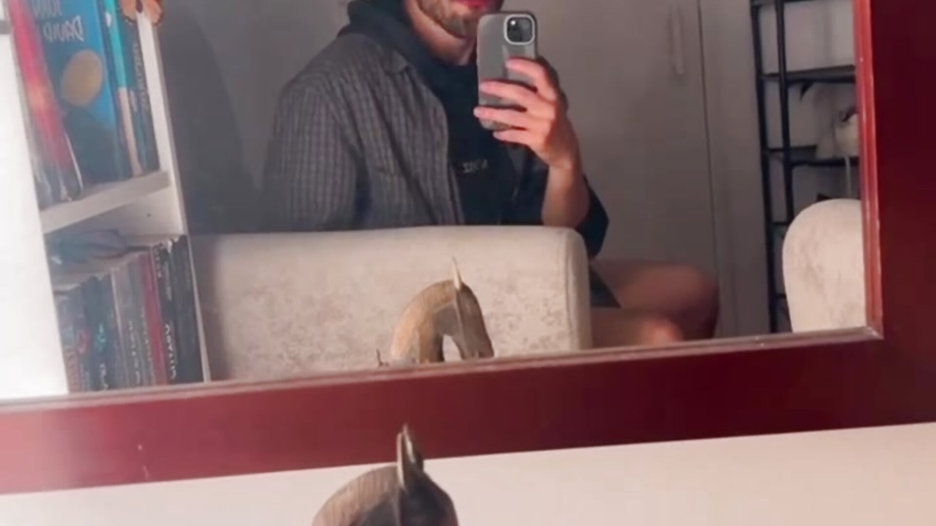 A little of mi ass 🍑🍑 – video od webkamerové modelky CuriousTomX