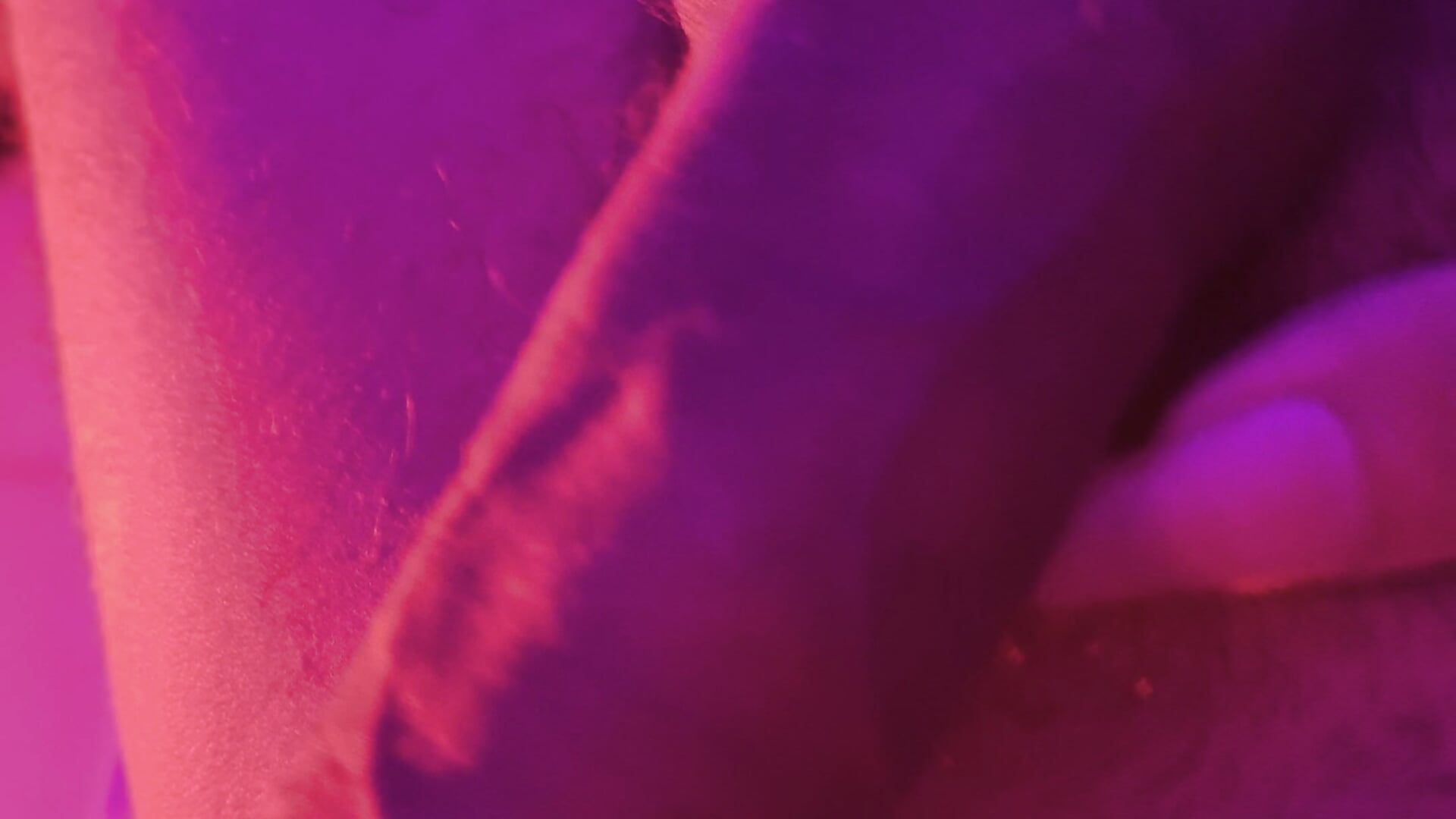 My cock hard - video av Baby_latino69 cam-modell