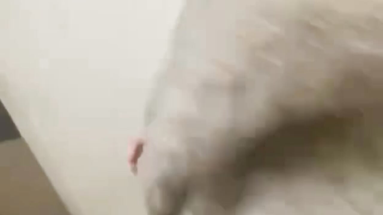 just for fun - video by LouiseEvans cam model