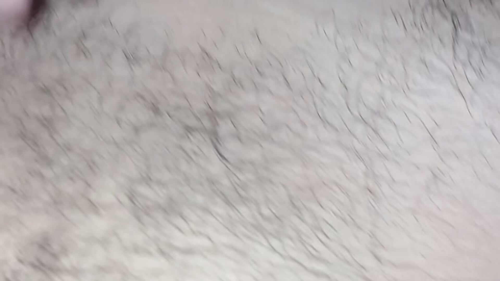 قضيب كبير/gros pénis – video af JoniJ13867 cam-model