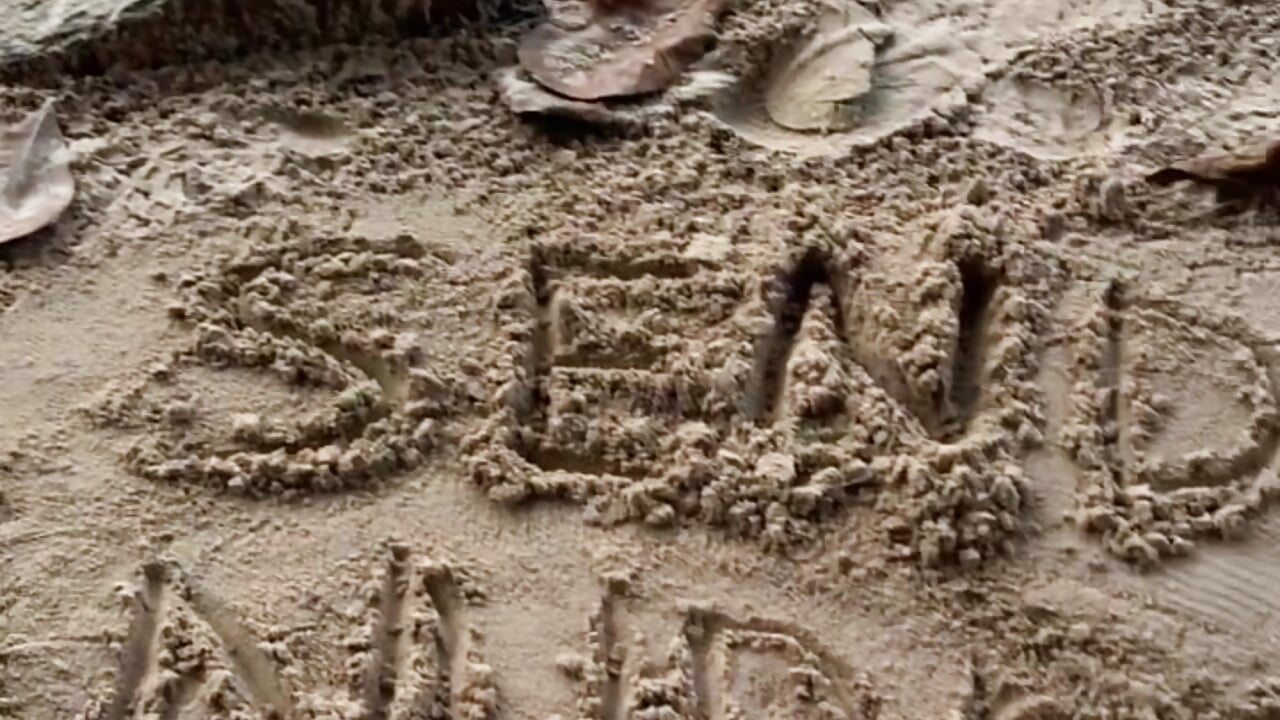 profile-intro-video-1776962066 - vídeo de ThiqueSparky modelo de câmara