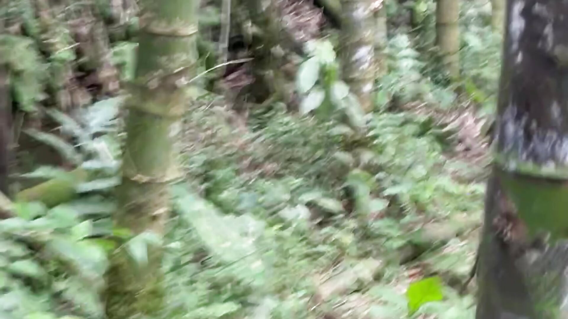 🍃🌿 - video by Sergio_nox cam model