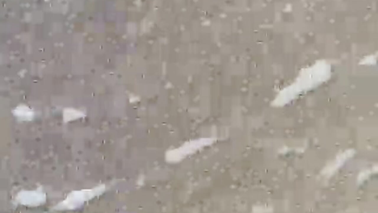 1000001236 - 視頻由 zizosey 主播提供