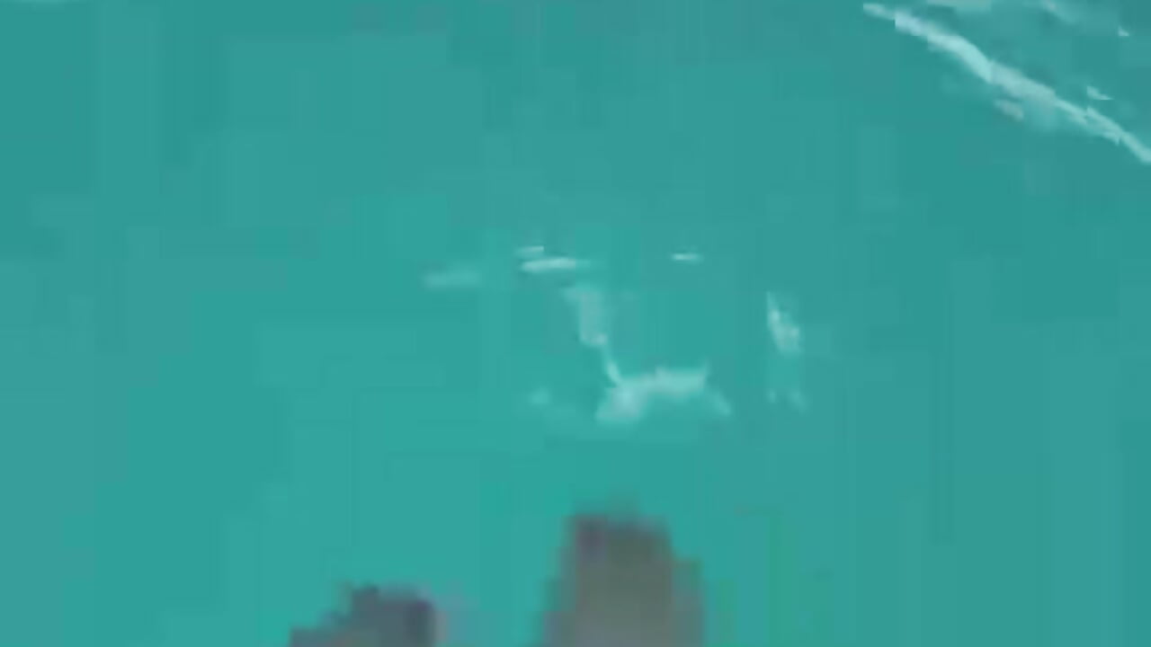 1000001246 - 視頻由 zizosey 主播提供