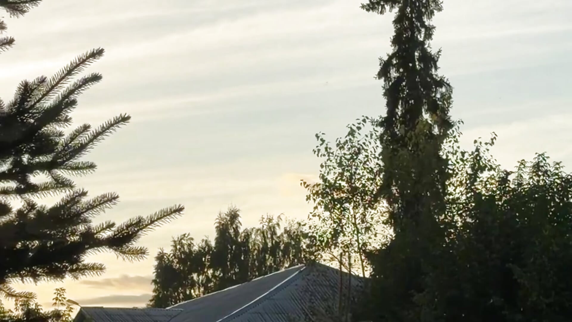 Beautiful 🍀 - video av Touch_And_Run cam model