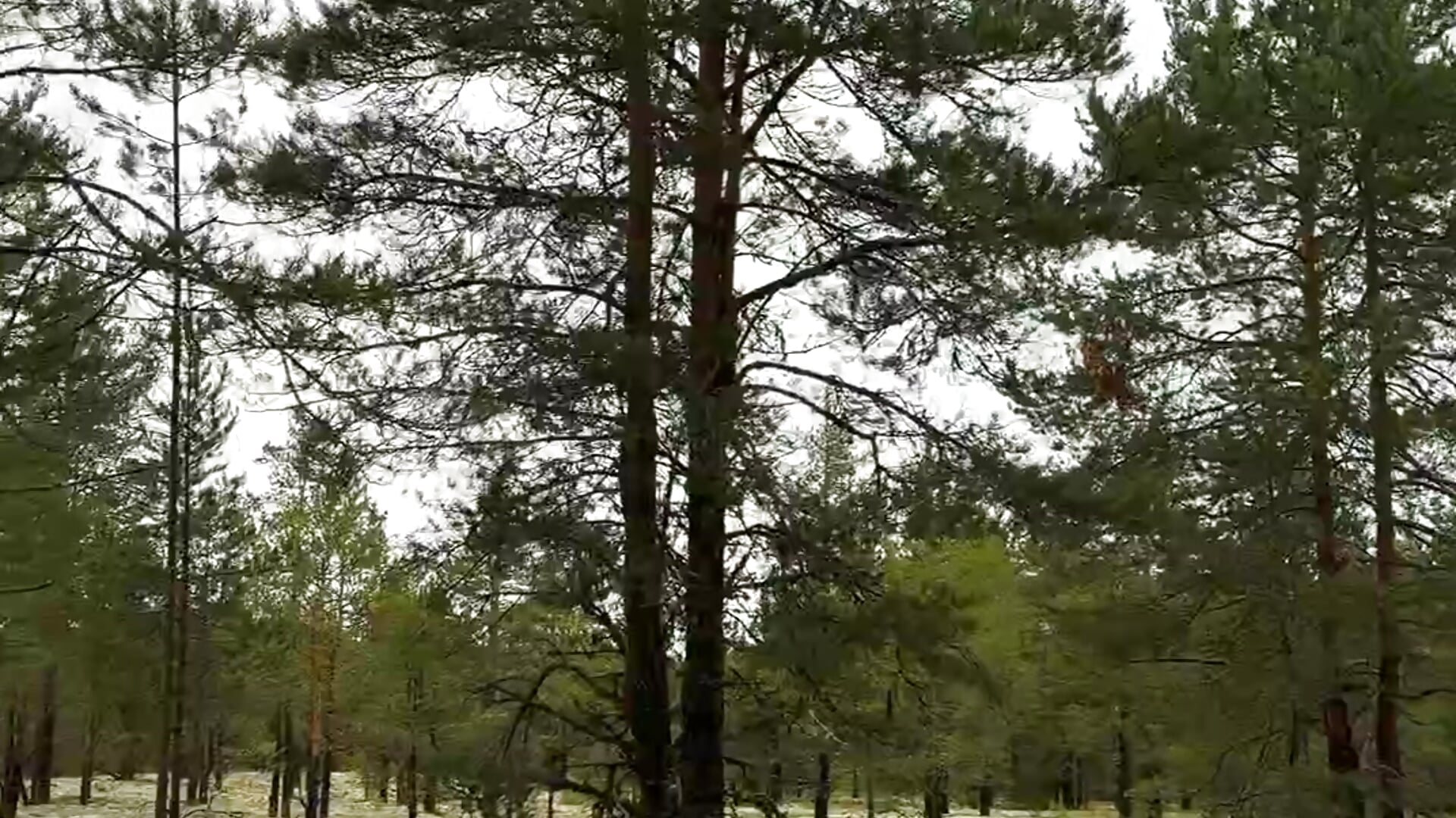 Look how quiet and beautiful it is here. – video od webkamerové modelky Touch_And_Run