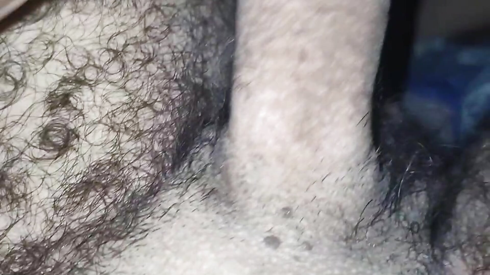 VID-20260813-WA0005 - Vídeo de Leonildo2026, modelo de vídeos