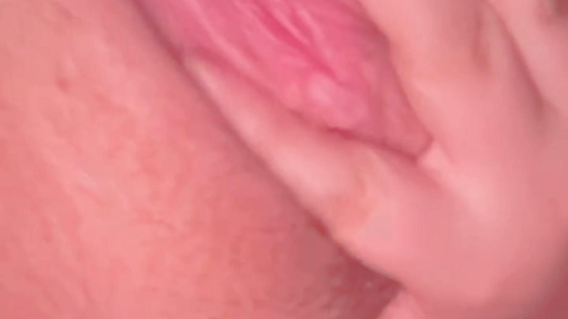 your wet dream