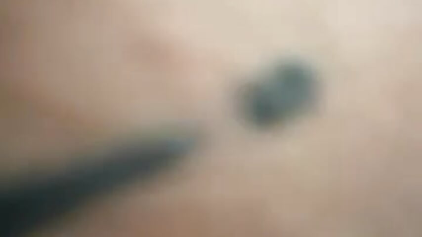 79888155041__FE1ED6CE-CED8-47E1-8123-371ABB18CB8A - відео від вебкаммоделі rudo7778