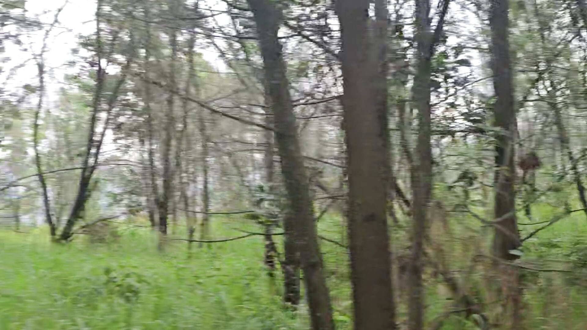Caminata por el bosque 🏕 - video by Juanitocllr cam model