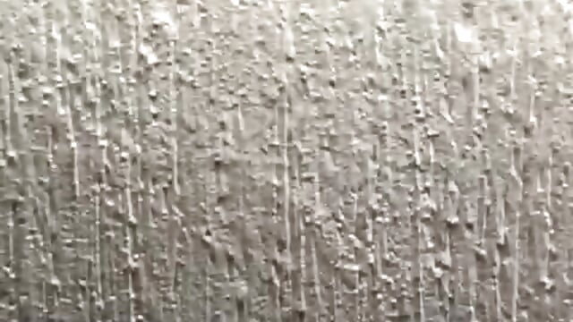80808869876__0D31E236-8118-413F-98A0-BFEBD2FEC6B7 - video Zpuungdl kameramallilta