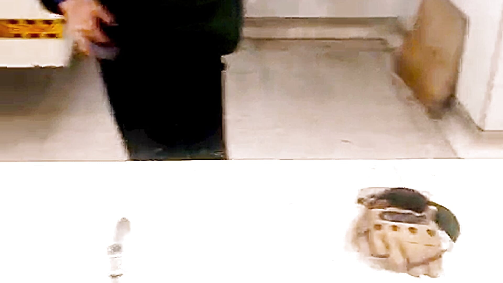 Tymmy Shows Off Furry Tail in Public Toilet – video modela na kameri LittleTymmy