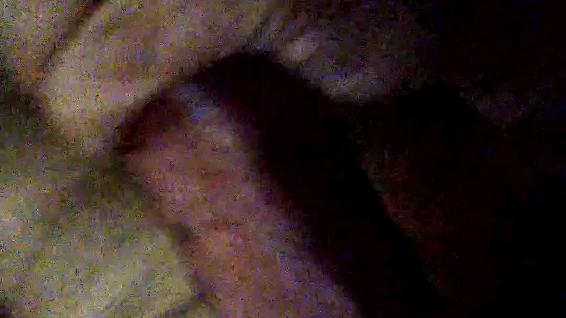 Sex Club Show Off - video by duaneericxxx