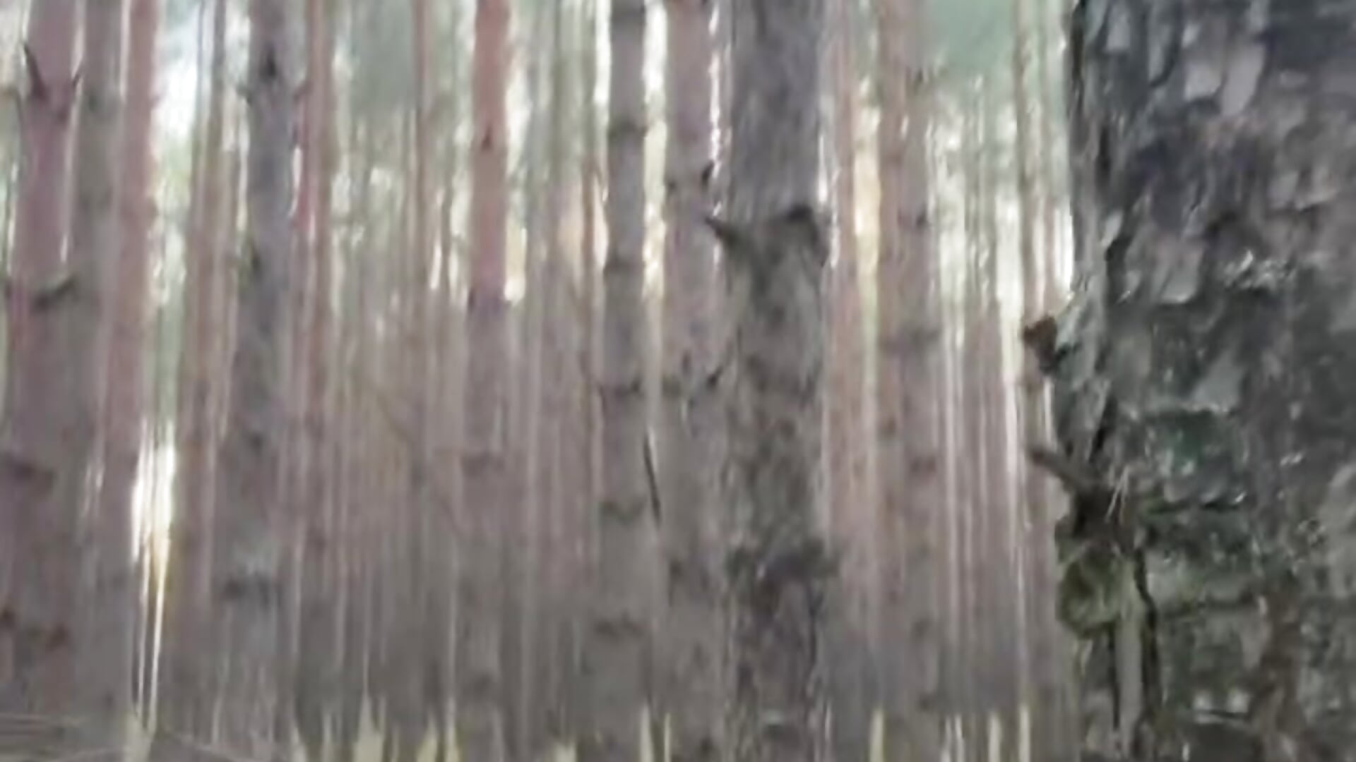 forest - βίντεο μοντέλου CurlyWinx