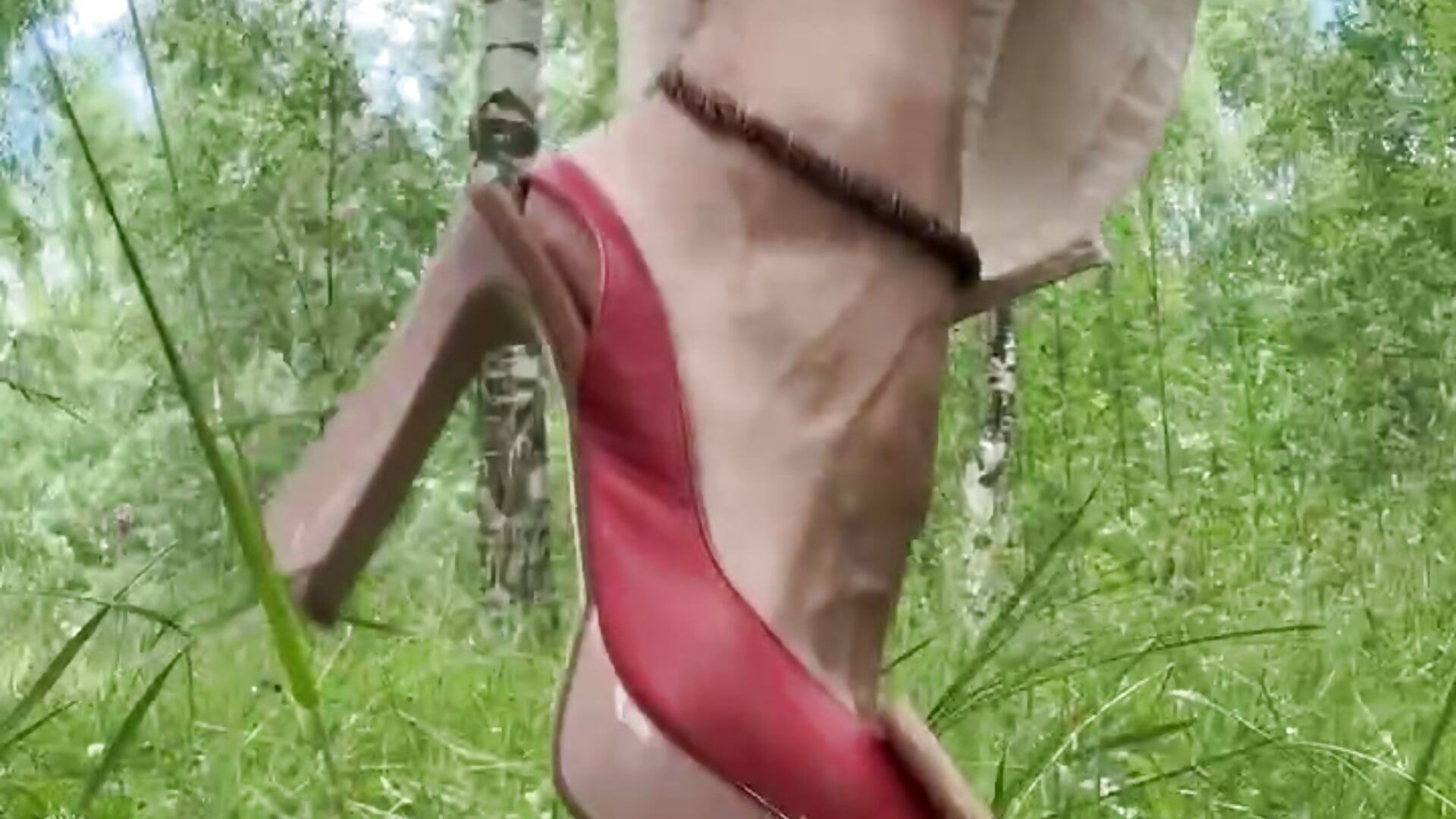 forest adventure