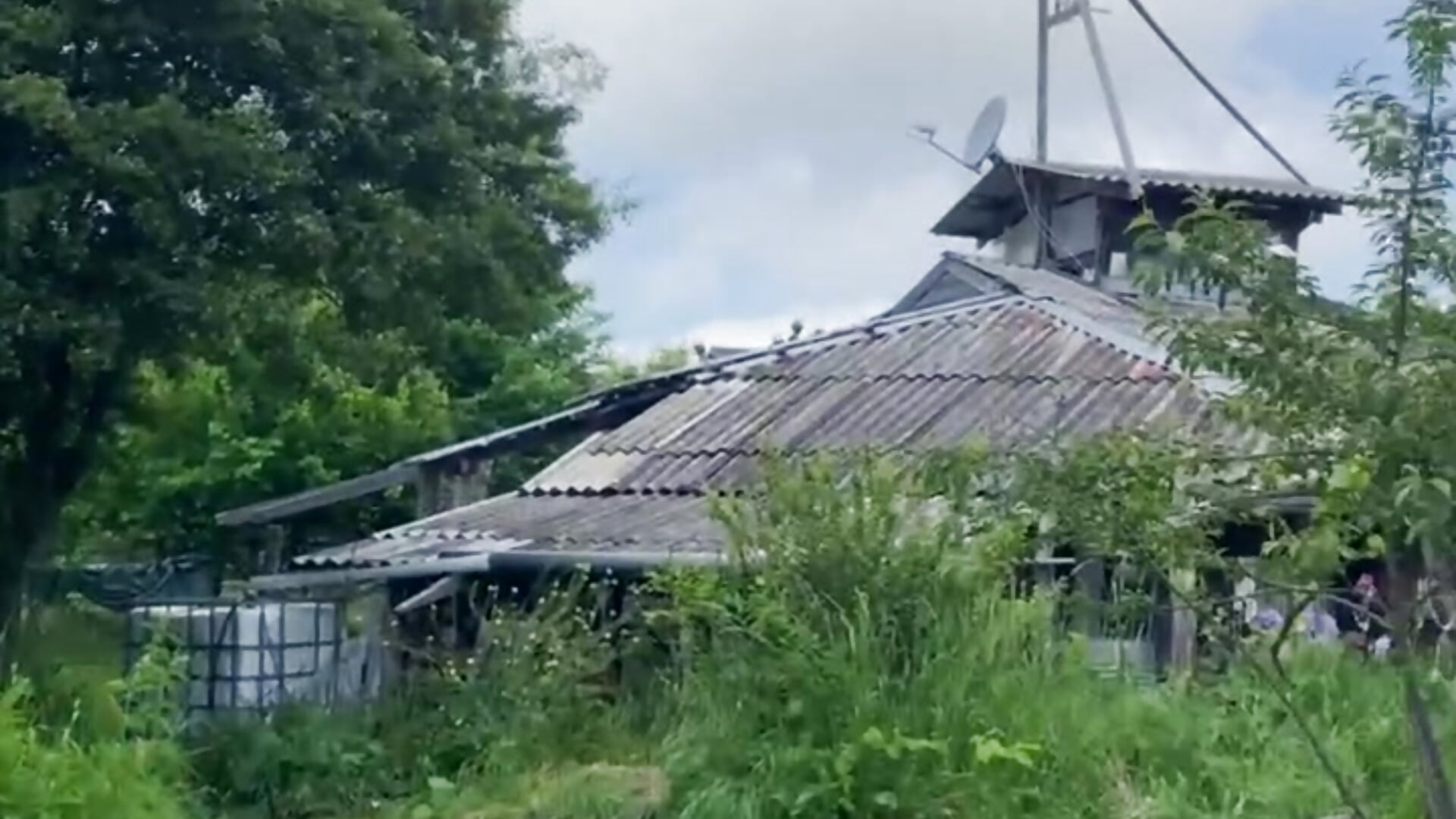 like my house in the forest - video av wildforestmuse_ cam-modell
