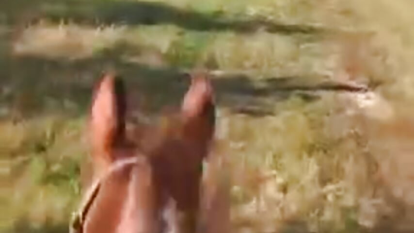Dime vaquera 🤠 - video oleh model kamera Wedcibeet