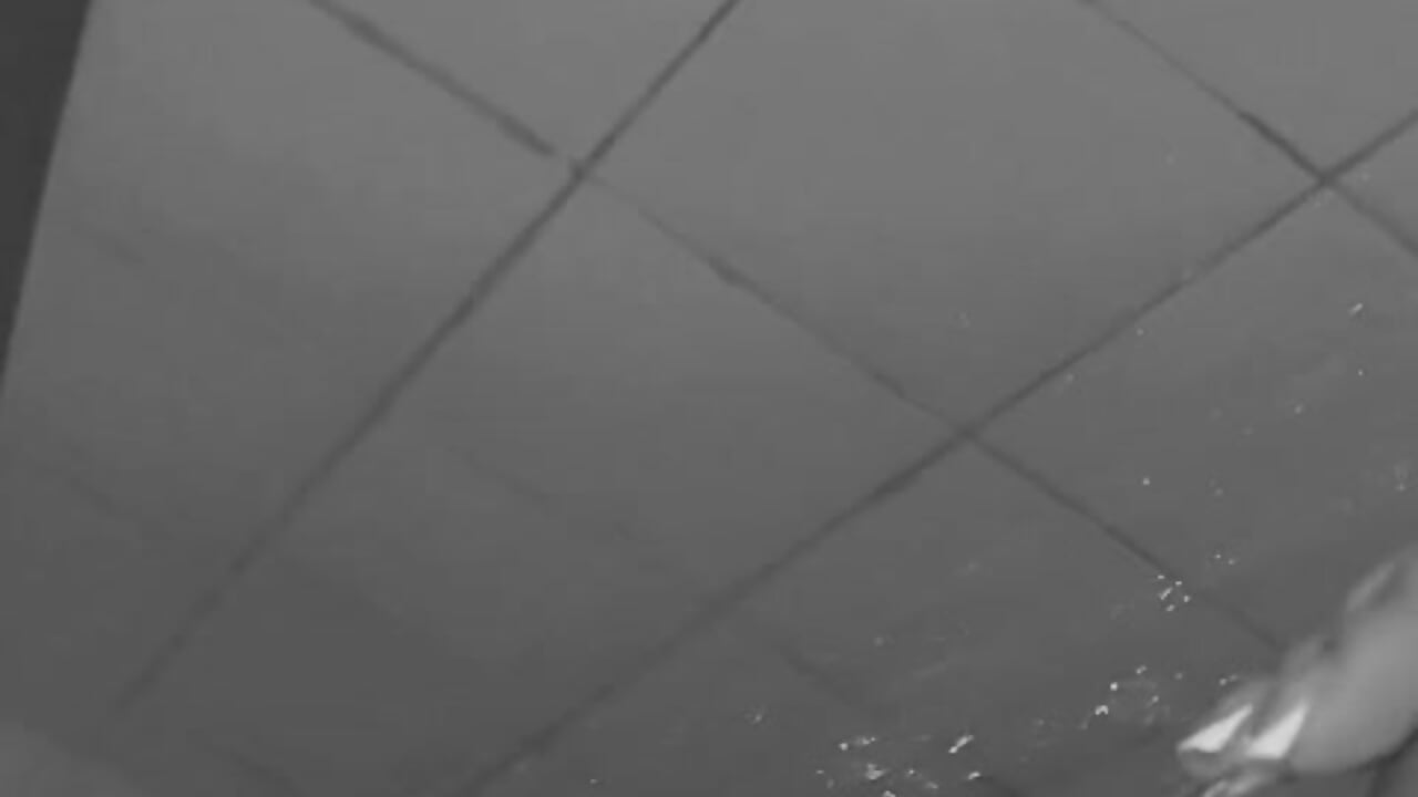 Hot shower💦 - video by Stefa_rosse cam model