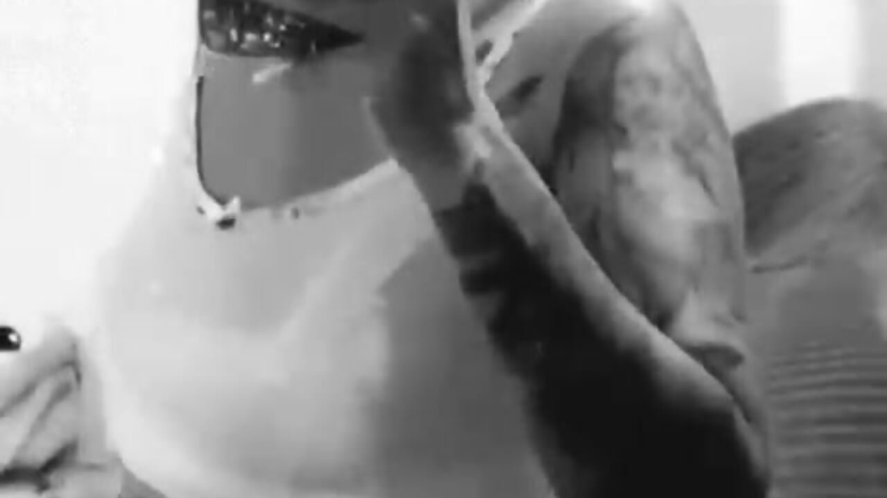 good morning - Video von sofiaross2 Cam-Model