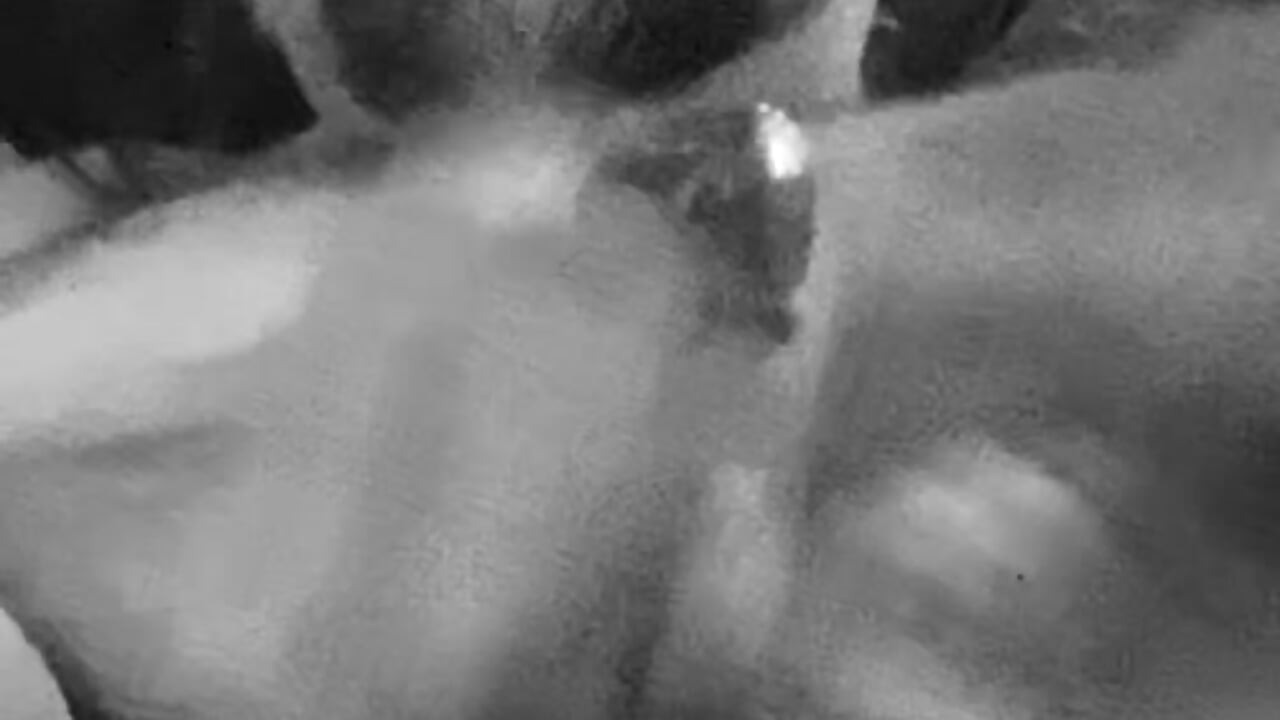 IMG_3810 - video by Helljeje cam model