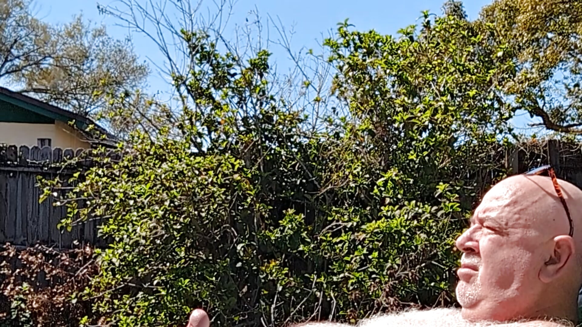 PXL_20250302_181058224,TS~6 - فيديو من Bearbuzz موديل الكام