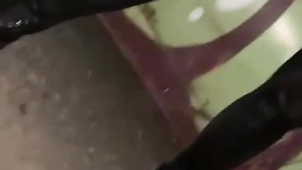 pet party - Video von Lexavega_ Cam-Model