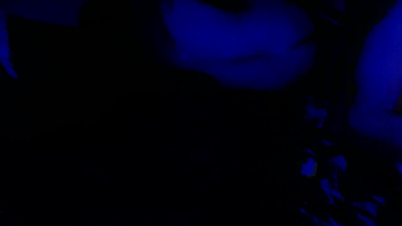 2019_1019_233145_001– thapeoplesdj kameramodell videója