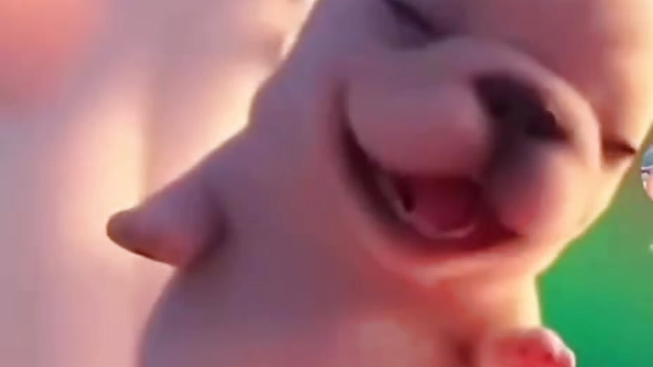 do-do dooo do-do dooo do-do - video di marilynie modella di cam