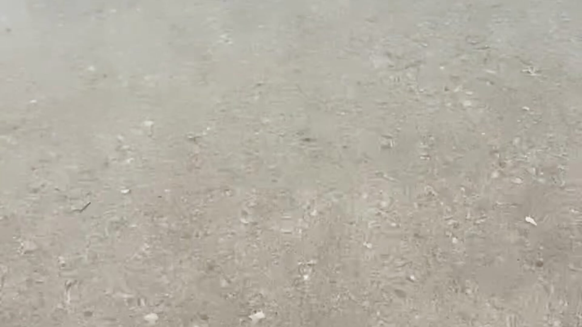 🌊