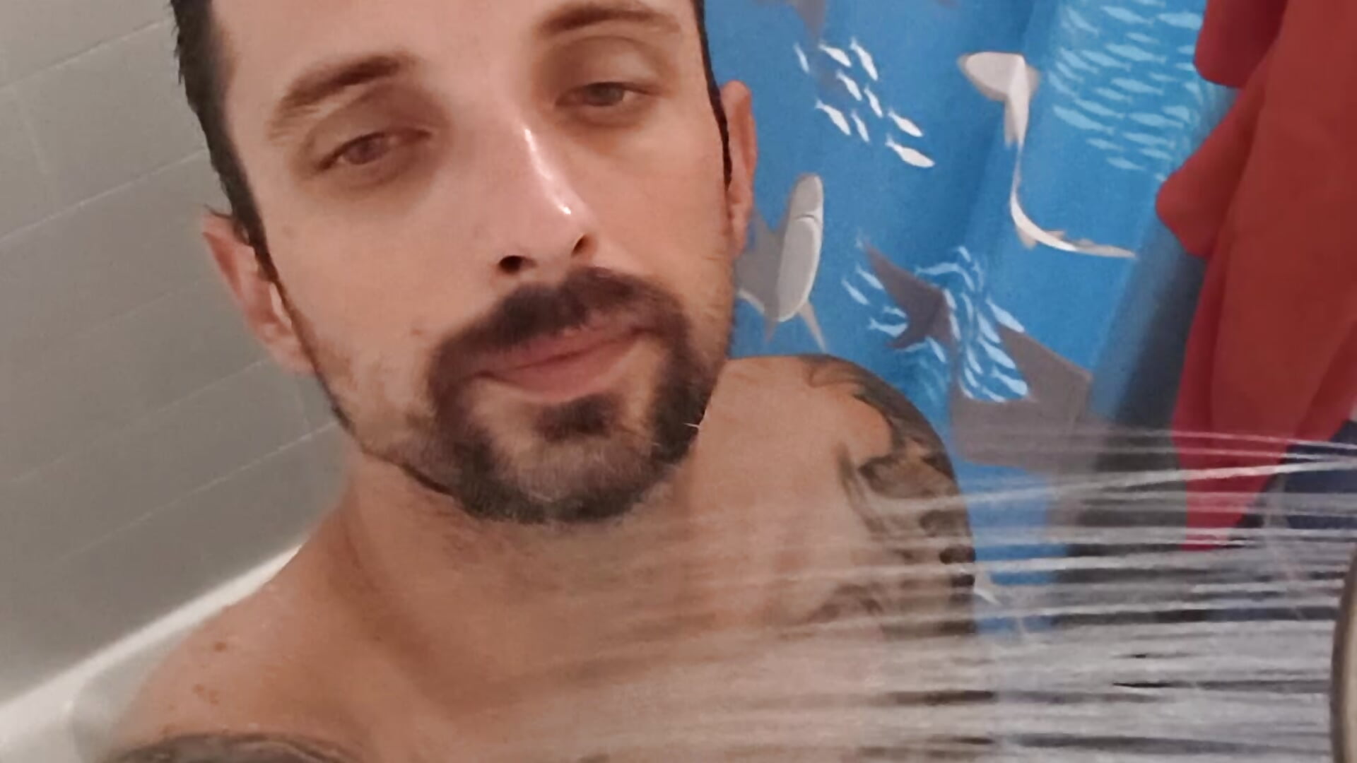 1000003312 - vídeo de MrDGrey modelo de câmara