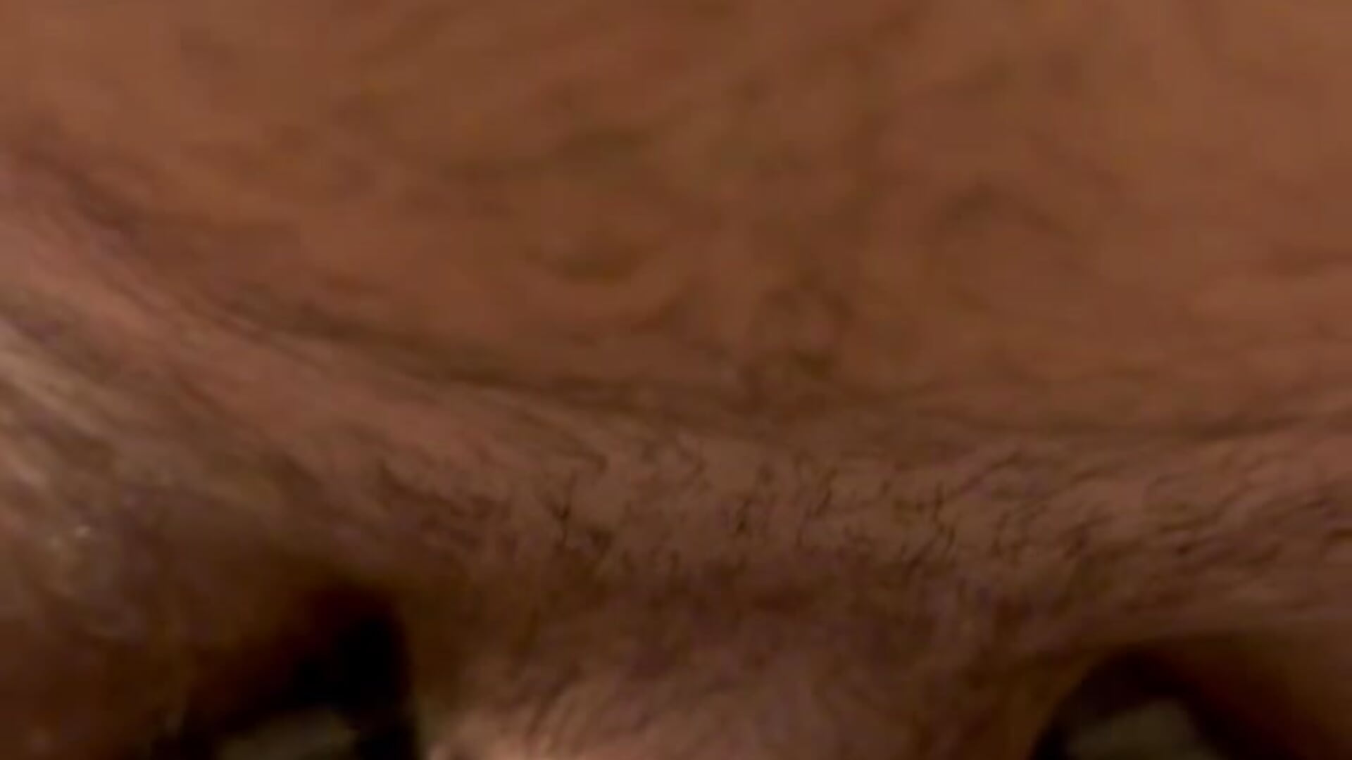 Slid my pants to the side and fucked me