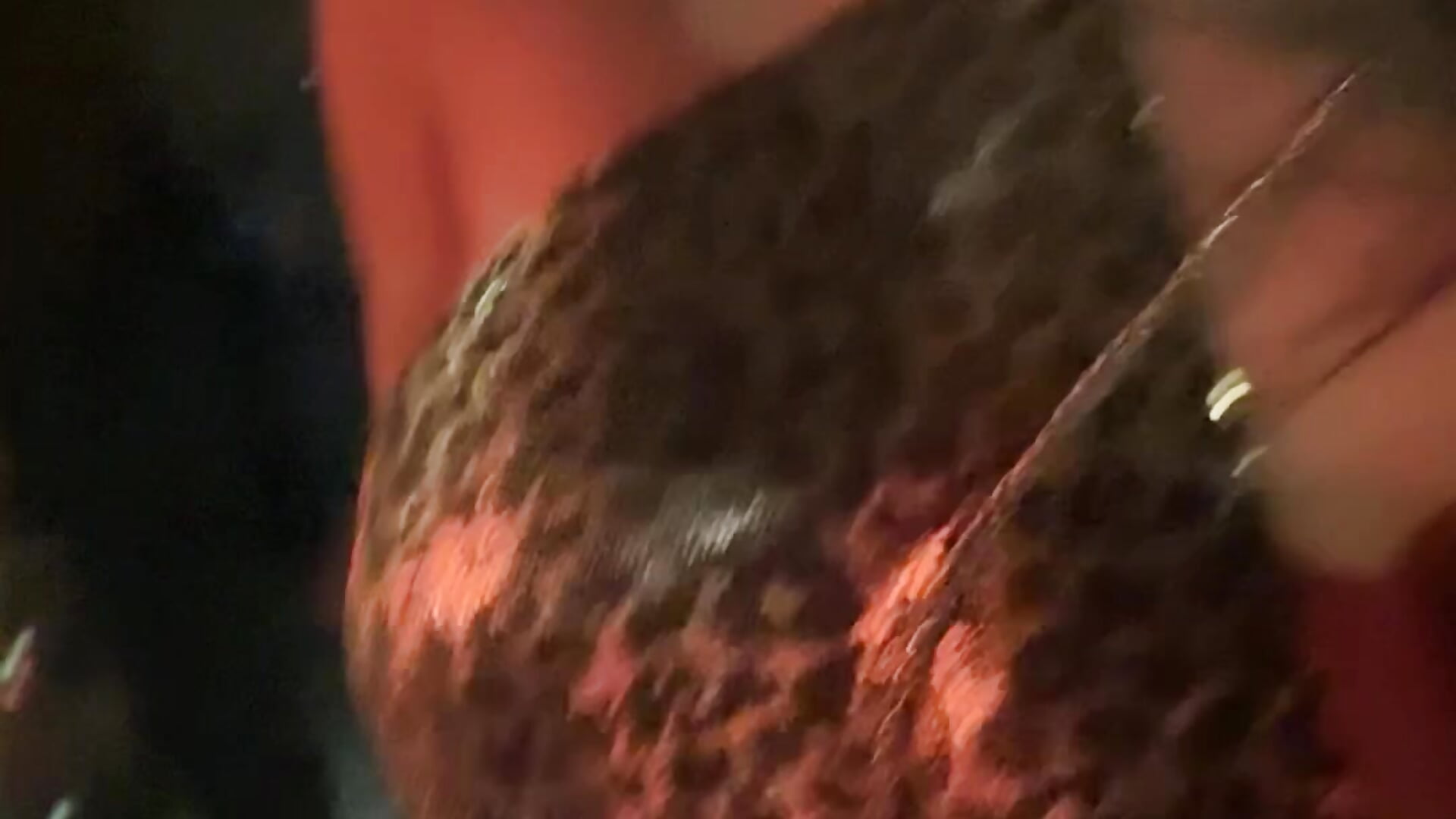 Hi🧸