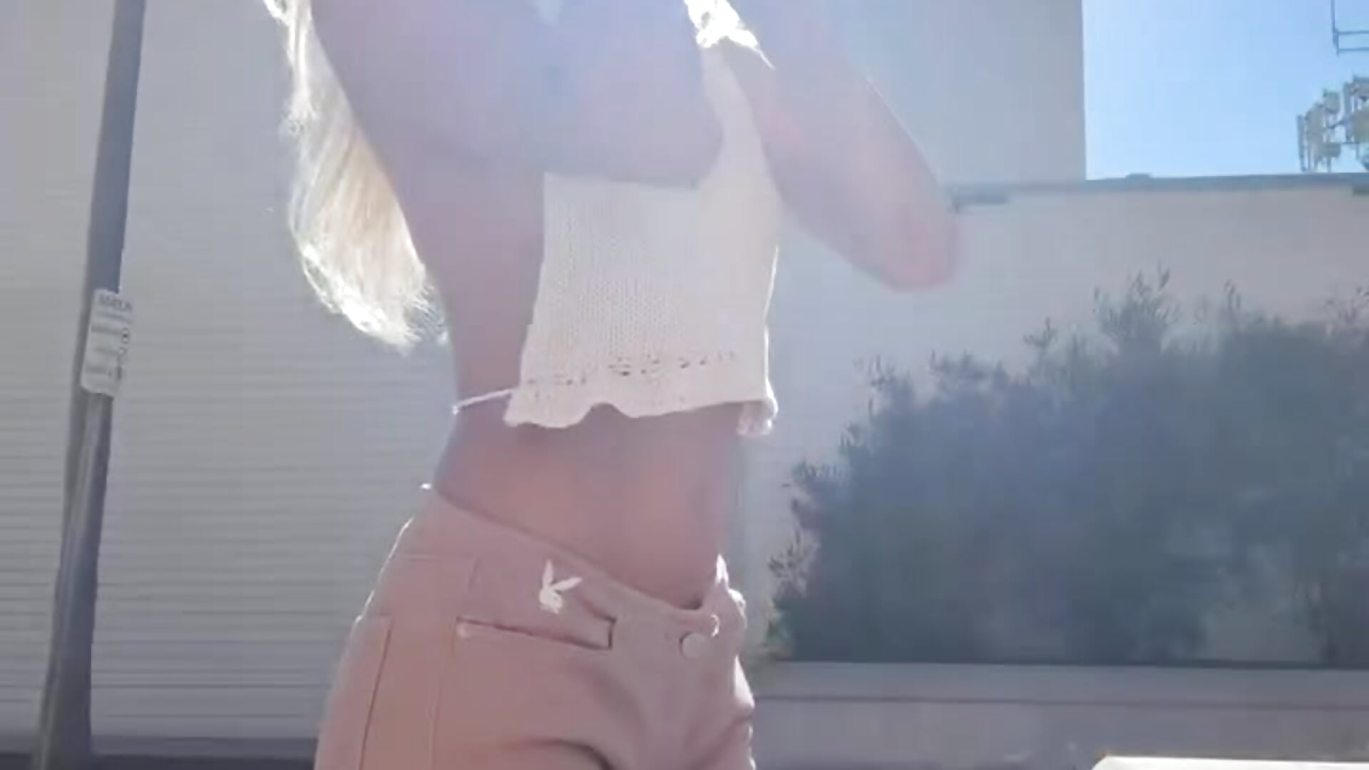 Little Pollypocket